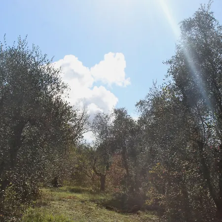 Due Comuni Gospodarstwo agroturystyczne San Gervasio (Pisa)