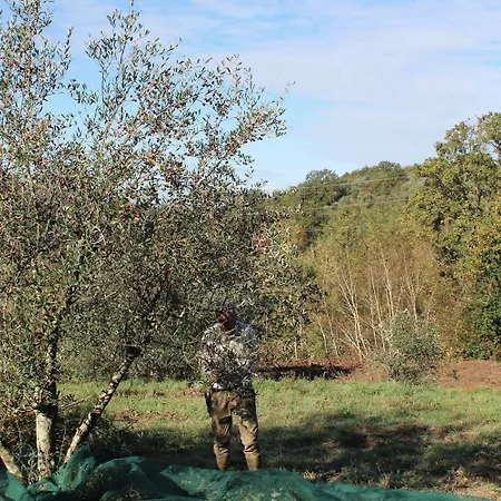 Due Comuni Gospodarstwo agroturystyczne