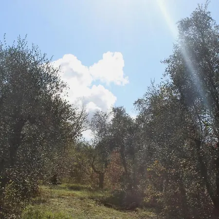 Due Comuni San Gervasio